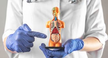 Kolonoskopi Öncesi Beslenme Nasıl Olmalıdır?