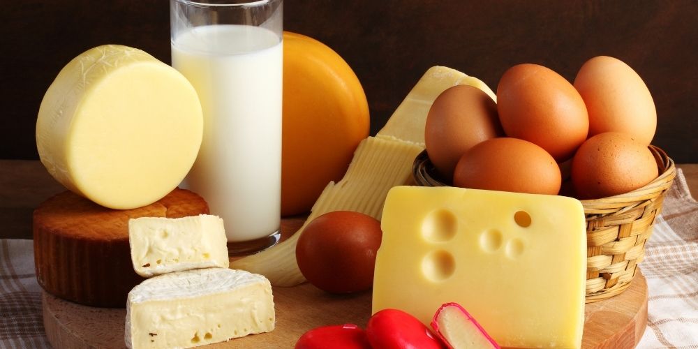 kolonoskopi öncesi beslenme