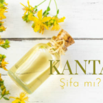 sarı kantaron